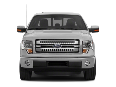 2014 Ford F-150 Platinum