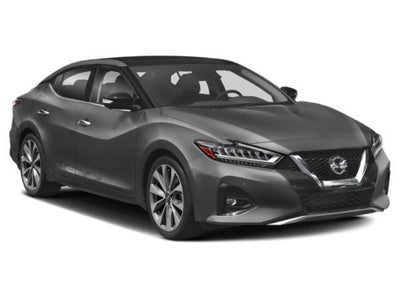 2023 Nissan Maxima Platinum Xtronic CVT