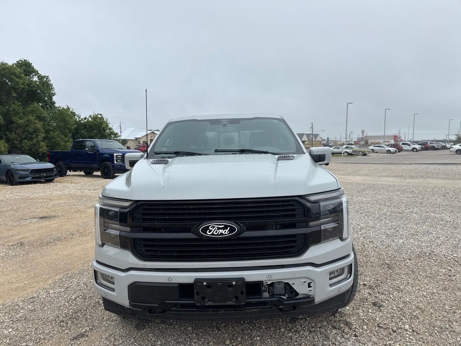 2024 Ford F-150 Platinum