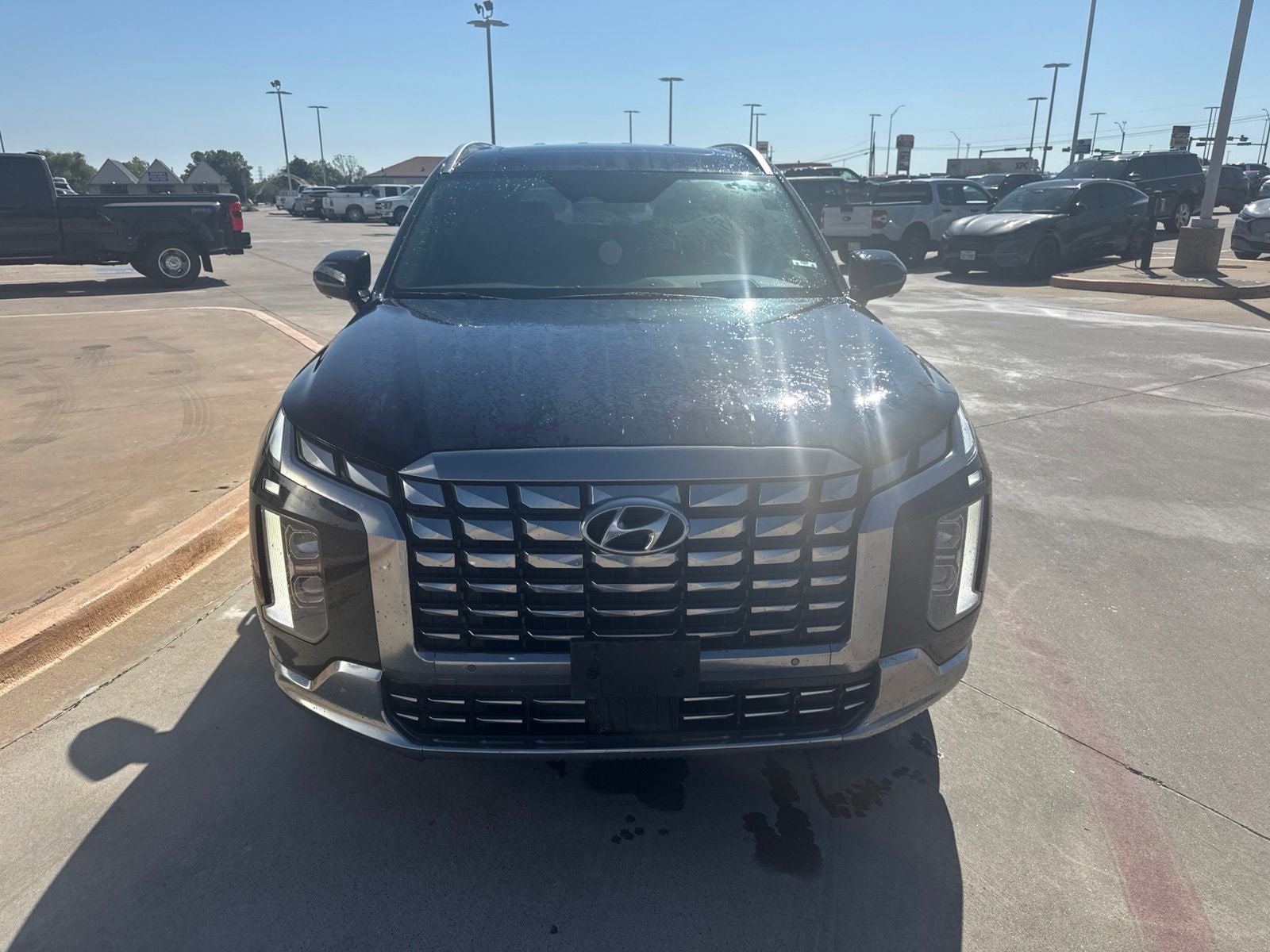 2024 Hyundai Palisade Calligraphy