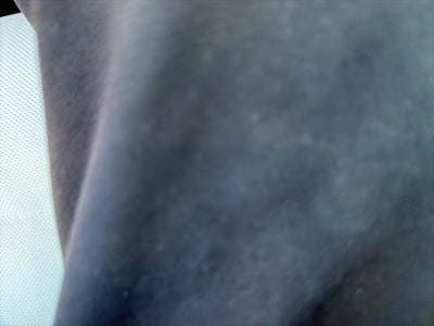 2023 Tesla Model S Base